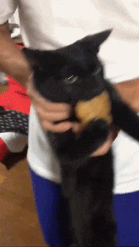 ???: 야야 그거 한입 먹는다고 죽냐 ㅋㅋㅋ | 인스티즈