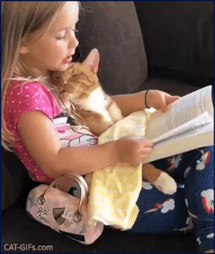고양이에게 책 읽어주는 아이.gif | 인스티즈