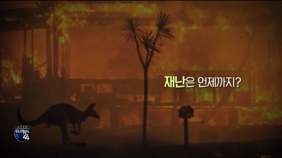 호주 근황.news (feat. 산불) + 총리 수준 | 인스티즈