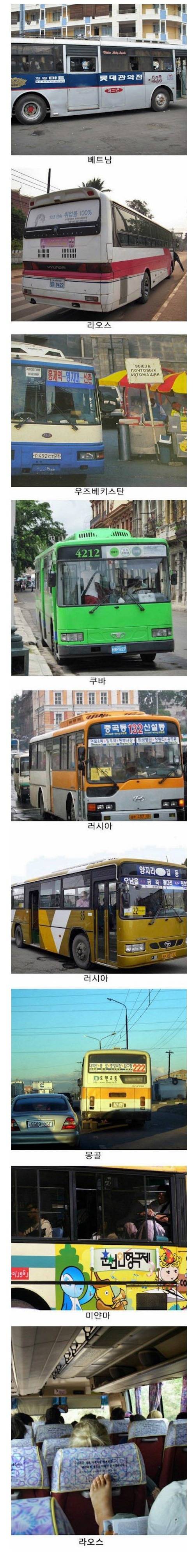 전 세계를 누비는 한국버스 | 인스티즈