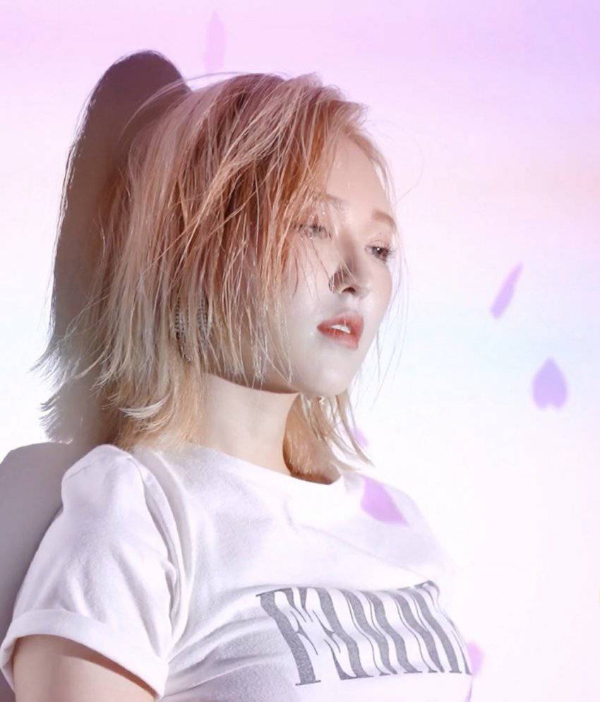 2019년 1월에 갑자기 머리 자르고 나타난 레드벨벳 웬디.jpg | 인스티즈