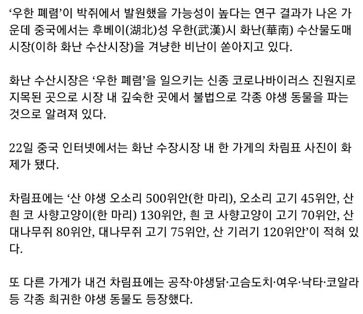 중국 폐렴, 박쥐에서 시작됐을 가능성 높아 | 인스티즈