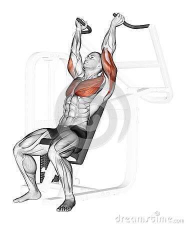 근육 운동 자극부위 모음 | 인스티즈