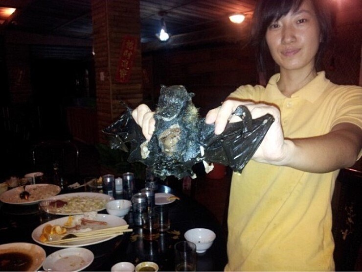 [주의] 중국에서 먹는 야생박쥐요리.jpg | 인스티즈
