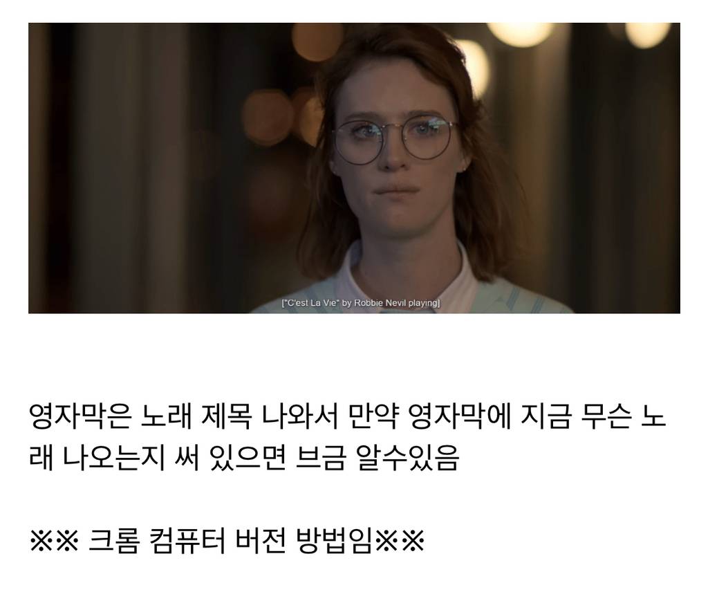 넷플릭스 자막 두 개 동시에 보는 법.jpg (한국어-외국어) | 인스티즈