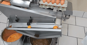 계란껍질 까는 기계 | 인스티즈