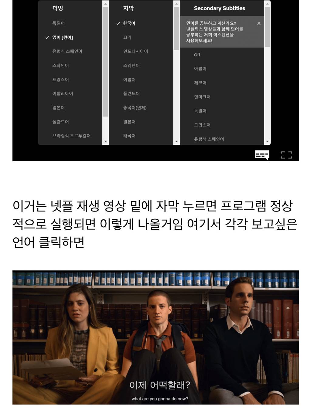 넷플릭스 자막 두 개 동시에 보는 법.jpg (한국어-외국어) | 인스티즈