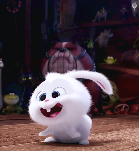 마이펫의 이중생활에서 핵귀여운 스노우볼.gif | 인스티즈