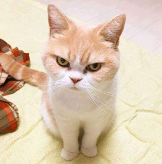 여자들 배고플 때 표정.JPG | 인스티즈