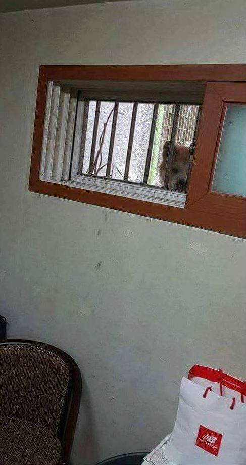 반지하에 살게 된 이후 생긴 뜻하지 않은 친구...jpg | 인스티즈