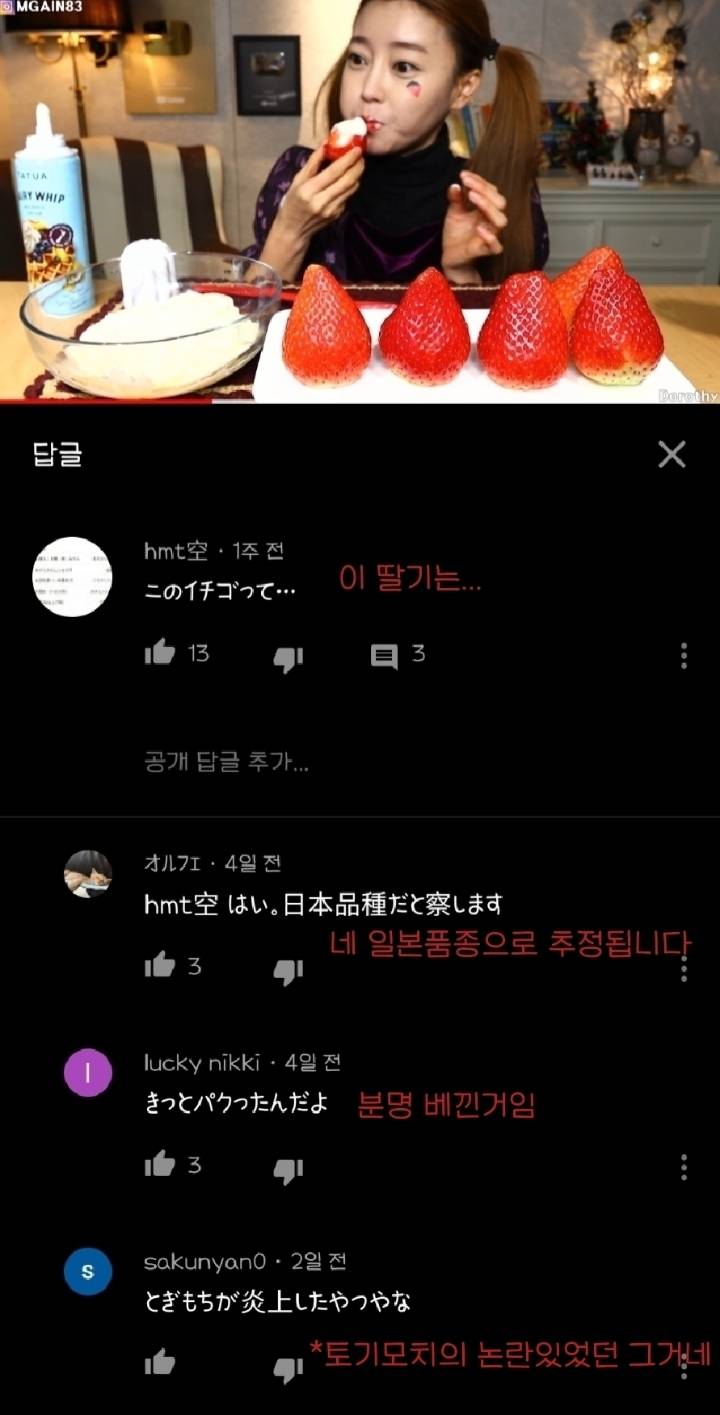 한국 유튜버 딸기 먹방을본 일본인들.jpg | 인스티즈
