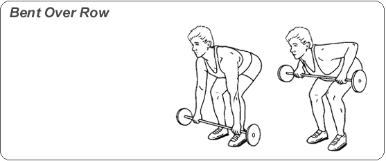 웨이트 시작하시는 분들에게 추천하는 운동과 동작을 이해하는 팁 | 인스티즈