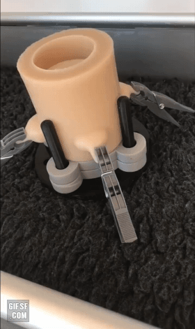 밥먹는 강아지.gif | 인스티즈