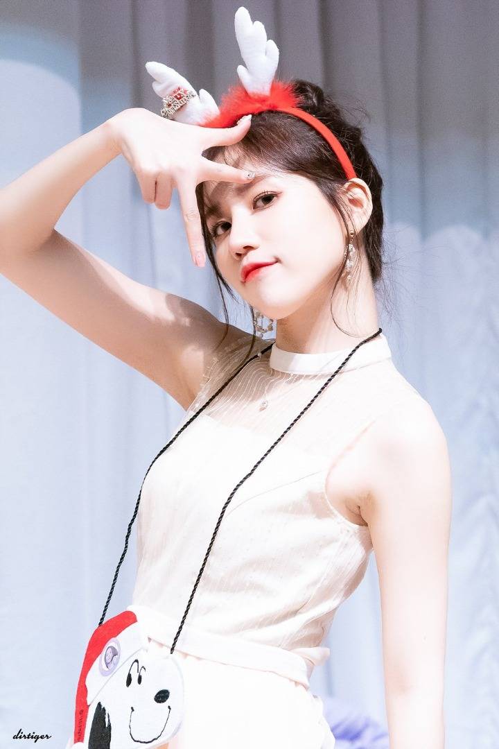 자신이 군대에서 본 가장 높은 계급은!? | 인스티즈