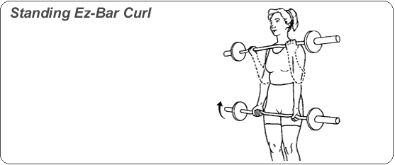 웨이트 시작하시는 분들에게 추천하는 운동과 동작을 이해하는 팁 | 인스티즈