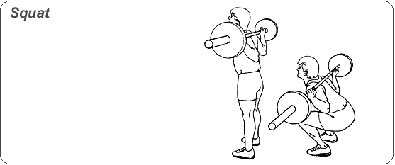 웨이트 시작하시는 분들에게 추천하는 운동과 동작을 이해하는 팁 | 인스티즈