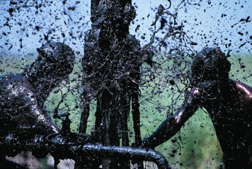 무도건 유전이다vs무조건 유전이라고 단정 지을순 없다 | 인스티즈