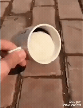 쏟아지지 않는 컵.gif | 인스티즈