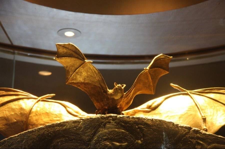 10년 전 27억 세금낭비 레전드.jpg | 인스티즈