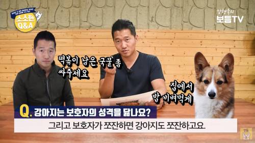 강아지 키우는 사람들 시간지나서 알아야할점 | 인스티즈