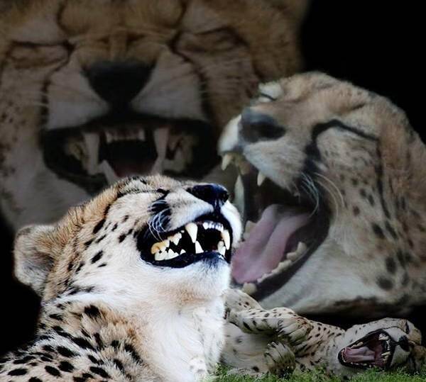 남자끼리 낚시하면 안 되는 이유 | 인스티즈