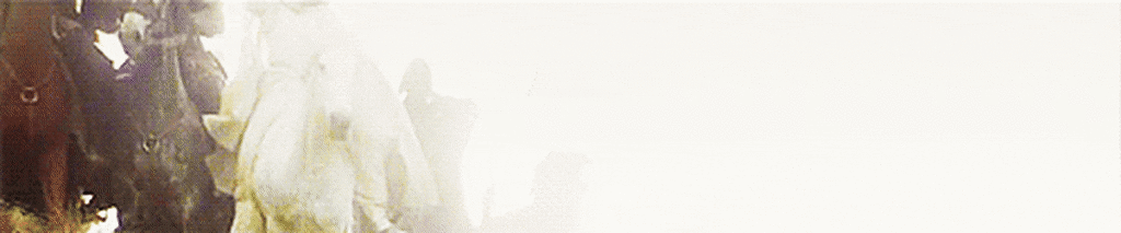 [반지의제왕] 명장면으로 꼽히는 로한 기마병의 돌격 장면들.gif | 인스티즈
