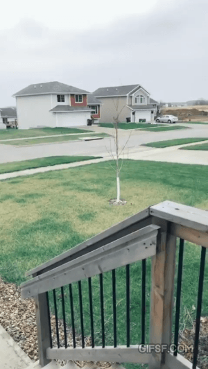 폭설의 전과 후.gif | 인스티즈