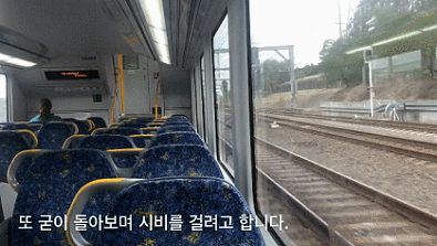 한국 유튜버 라이브 인종차별 모음 .gif | 인스티즈