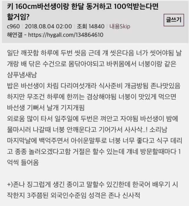 바선생과 한달동거하고 100억받으면 한다vs안한다 | 인스티즈