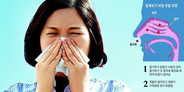 비염 유니버스...jpg | 인스티즈