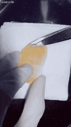 의사들이 수술 연습하는 방법.gif | 인스티즈