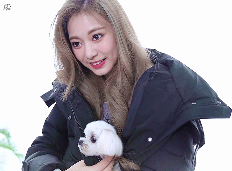 후쿠오카에서 한창 몸풀고 있을 쯔뭉이 &amp; 댕댕이 | 인스티즈