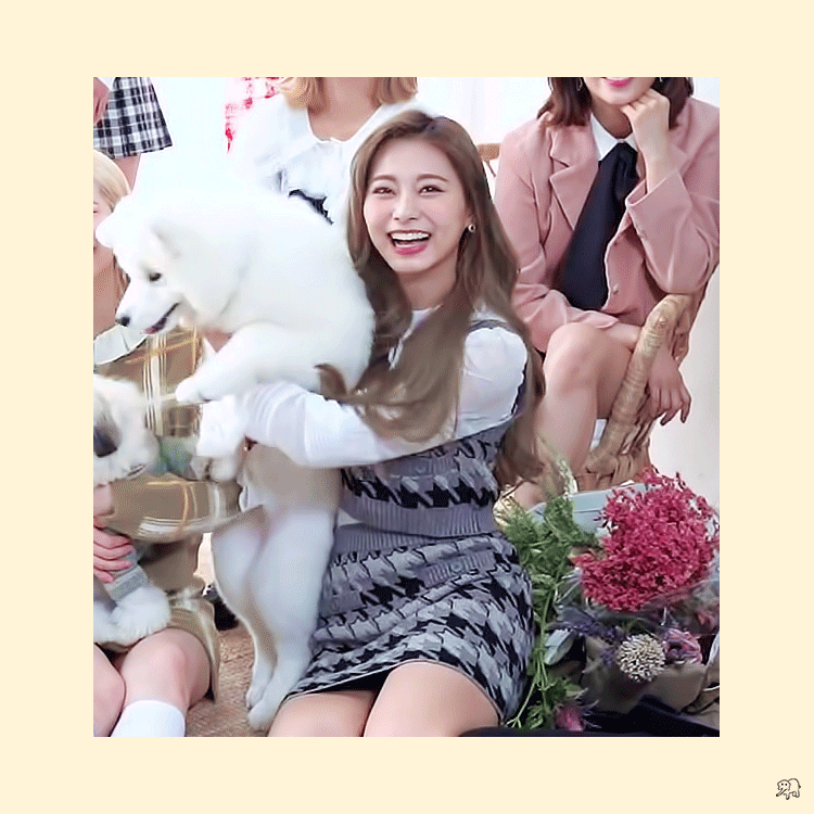 후쿠오카에서 한창 몸풀고 있을 쯔뭉이 &amp; 댕댕이 | 인스티즈