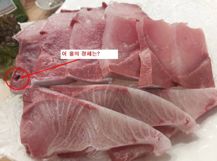 겨울철 방어(혐오주의) | 인스티즈