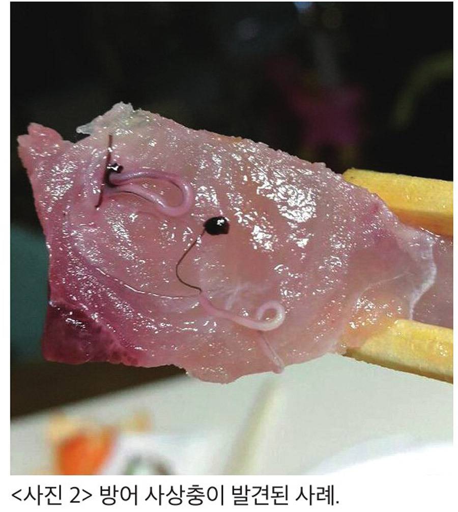 겨울철 방어(혐오주의) | 인스티즈