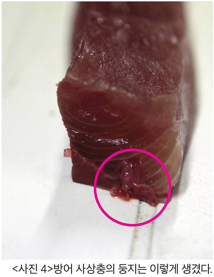 겨울철 방어(혐오주의) | 인스티즈