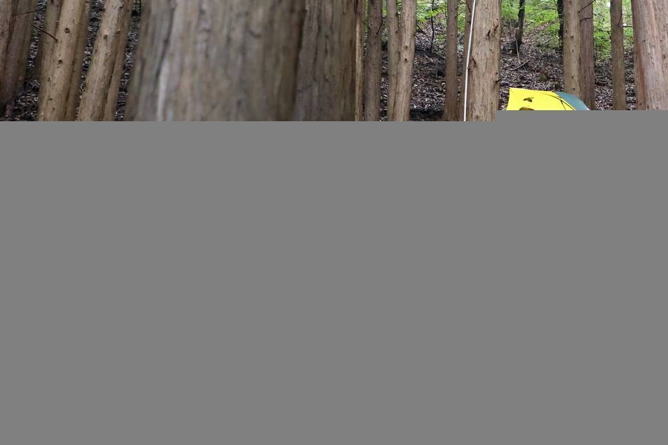 문재인 대통령이 29일 오전 경남 양산시 사저 뒷산에서 편백나무숲을 산책을 하고 있다. 청와대 제공