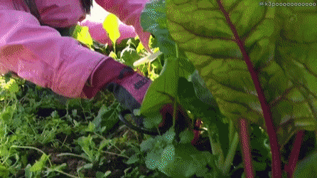 이런 여친이 다 접고 귀농하자고 한다면? | 인스티즈