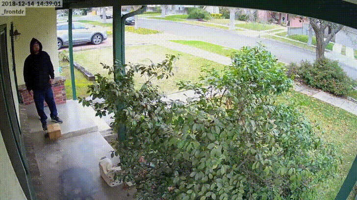 미국에서 고양이 똥 처리하는 방법.gif | 인스티즈