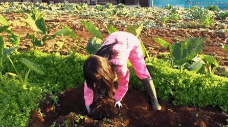 이런 여친이 다 접고 귀농하자고 한다면? | 인스티즈