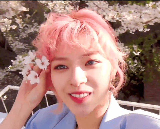 트와이스 팬들 사이에서도 난제라는 민트정연 vs 벚꽃정연 | 인스티즈