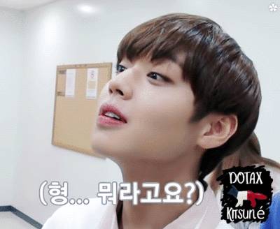 계란후라이 안 해본 손담비 몰아가기.jpg (feat. 적바 손담비) | 인스티즈