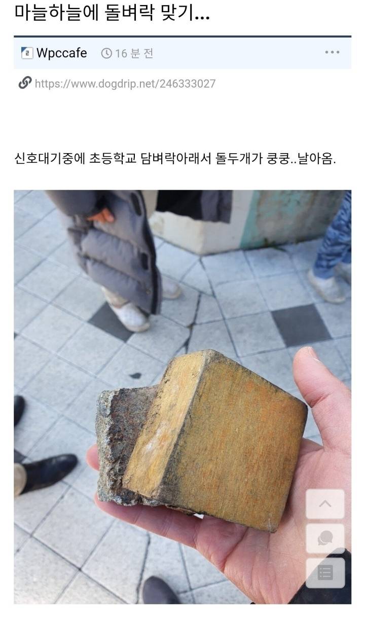 10살 초딩들의 '장난'... 어메이징...jpg | 인스티즈