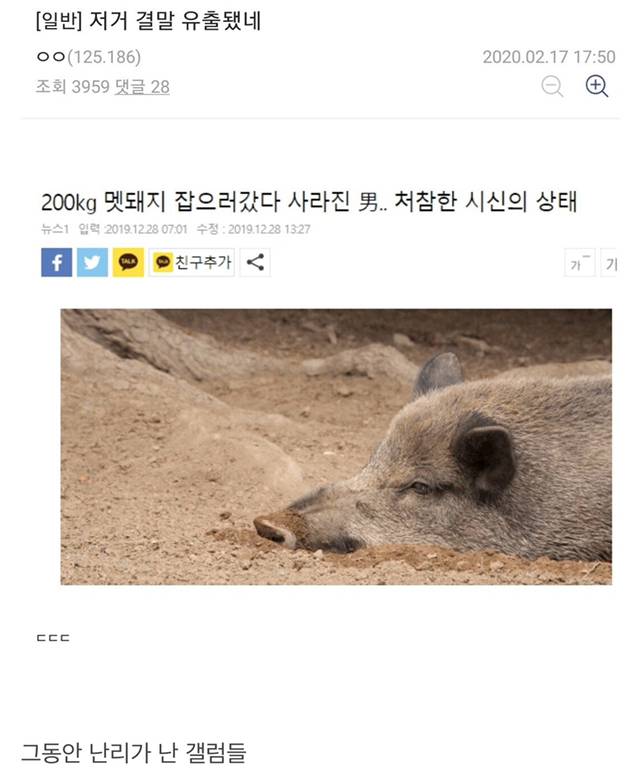 멧돼지 잡으러 산으로 간 디씨인...jpg | 인스티즈