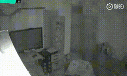 혼자있는 고양이가 걱정되서 CCTV를 설치했더니.. | 인스티즈