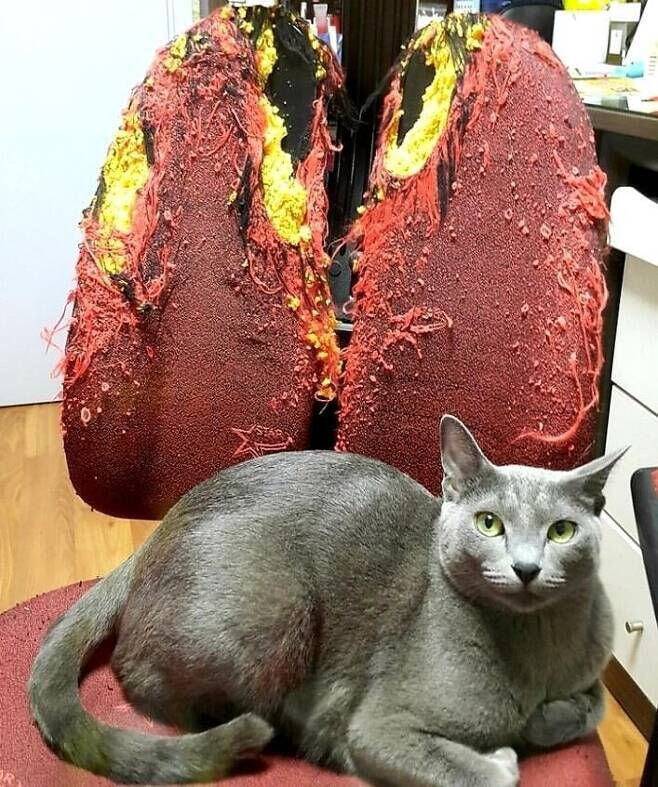 고양이 키우던 사람의 폐 사진.JPG | 인스티즈