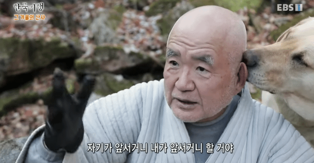 동물농장에서 땅치고 있을 한국기행 스님 머리 핥는 보리.gif | 인스티즈