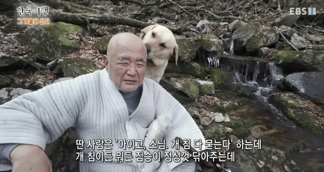 동물농장에서 땅치고 있을 한국기행 스님 머리 핥는 보리.gif | 인스티즈