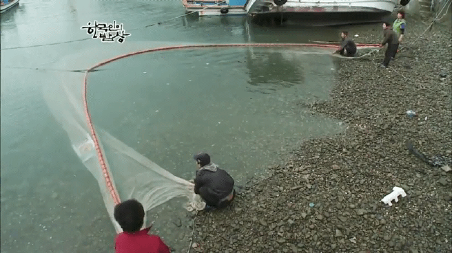 한국인의 밥상 여수 봄바다편 | 인스티즈