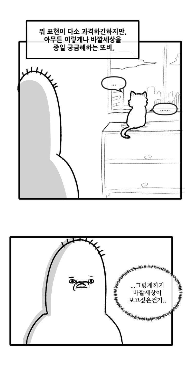 우리집 고양이 이야기.manhwa | 인스티즈